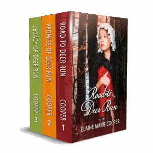 historical romance series set - Deer Run Saga - Christian Bible study book