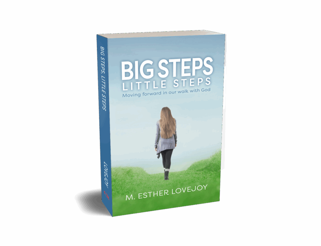 Big Steps Little Steps by author Esther Lovejoy from Christian publisher CrossRiver Media Group